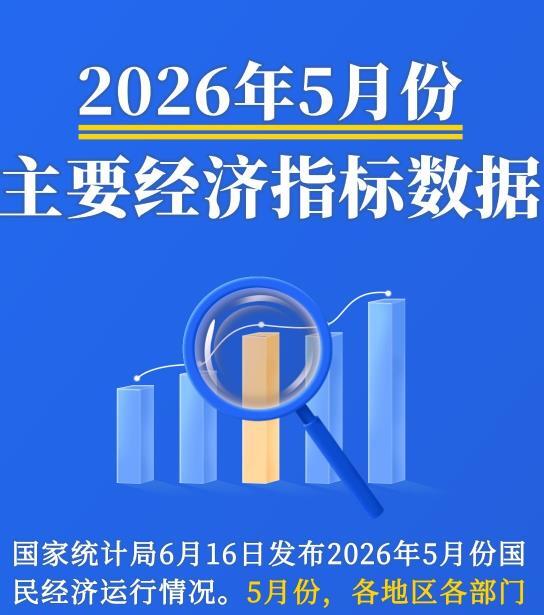 外逃鸡西原副市长涉案逾亿