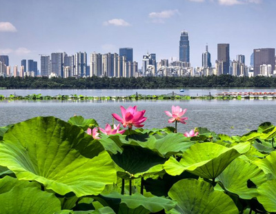 股东套现万被责令购回并上缴价差
