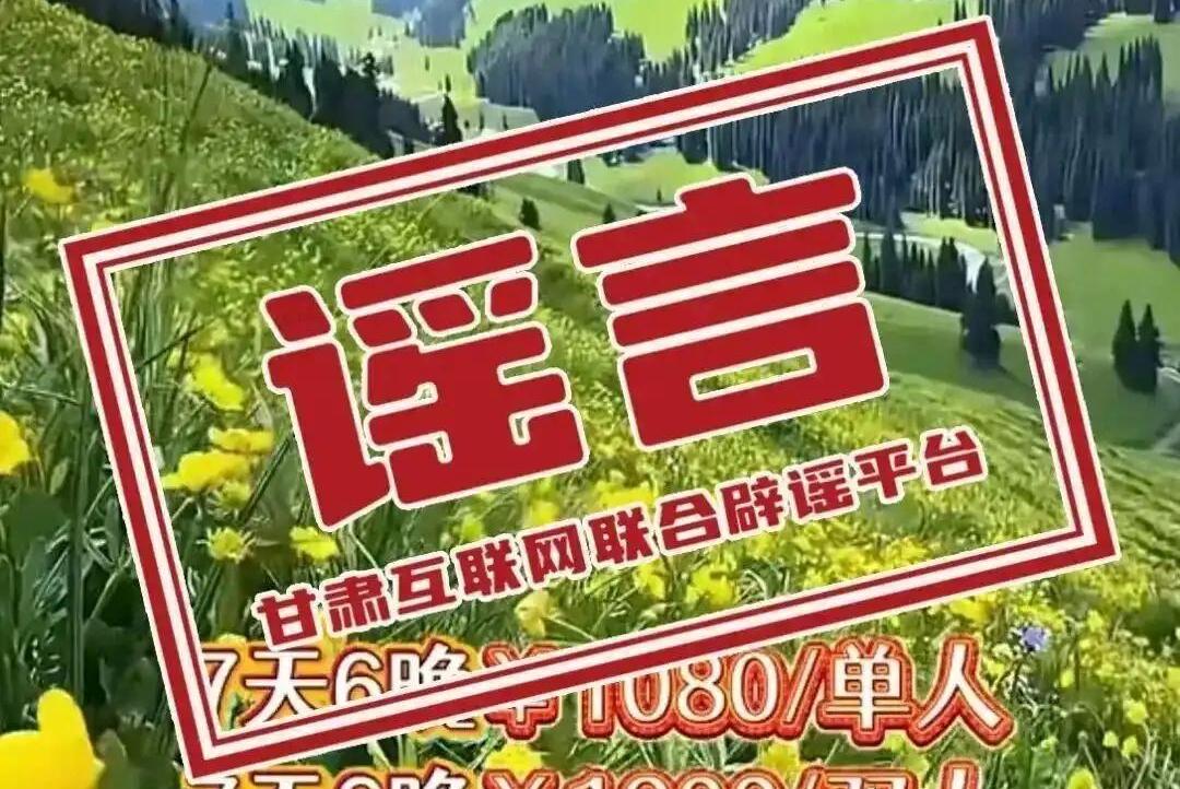 村主任故意撞人致死死者女儿发声