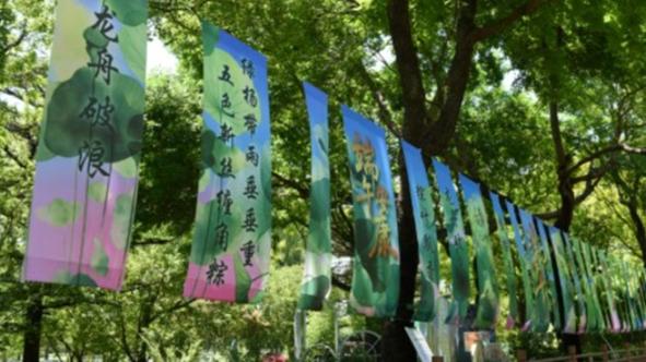 张馨予回应我想我会一直孤单