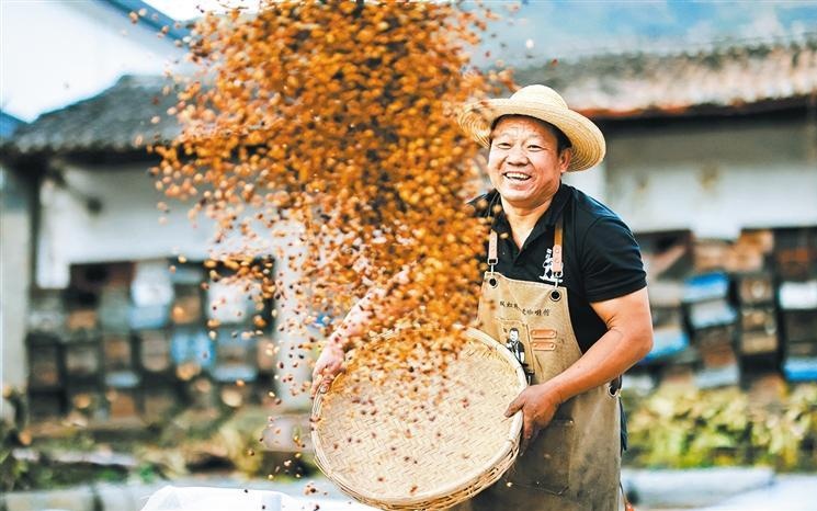 朝鲜已向前线部队下达准备射击指示