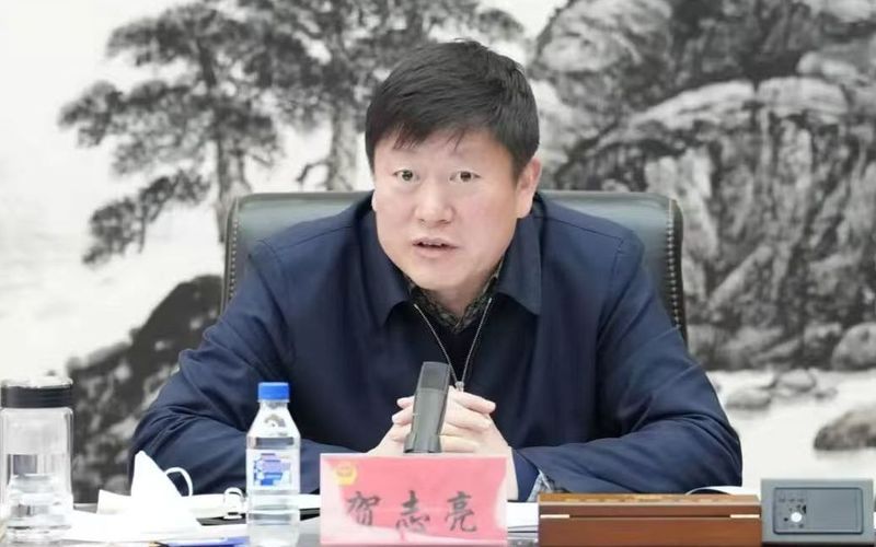 系列发布会