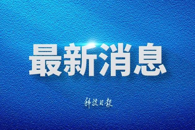 白百何晒与大儿子合照