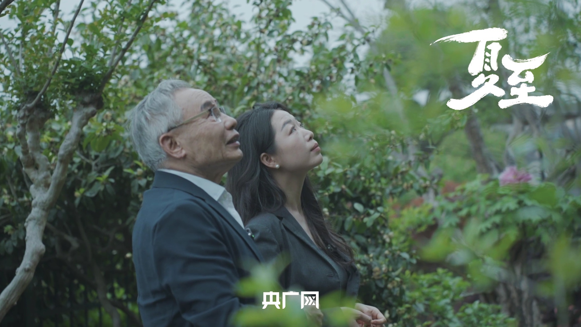 听泉鉴宝被指塌房四大疑问待解